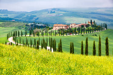 Bauernhaus in grüner Sommerlandschaft bei Crete Senesi, Toskana, Italien, Europa - RHPLF20286