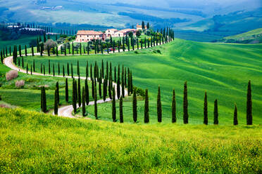 Bauernhaus in grüner Sommerlandschaft bei Crete Senesi, Toskana, Italien, Europa - RHPLF20288