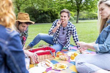 Freunde essen auf einer Picknickdecke sitzend - WPEF05026