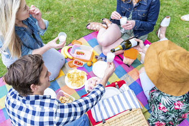 Männliche und weibliche Freunde beim Essen und Trinken während eines Picknicks im Park - WPEF05028