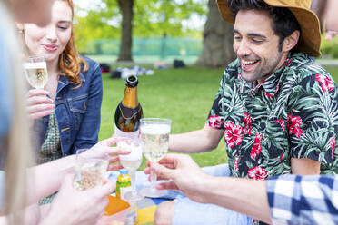 Lächelnder Mann gießt beim Picknick ein Getränk in die Weingläser seiner Freunde - WPEF05029