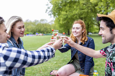 Freunde stoßen auf der Wiese sitzend mit einem Getränk an - WPEF05030