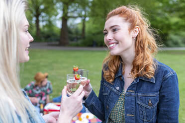 Frauen stoßen mit einem Getränk an, während sie sich mit Freunden im Hintergrund im Park unterhalten - WPEF05036