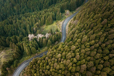 Aerial view road winding through the forest of the Azores, S√£o Miguel Island, Portugal. - AAEF09270