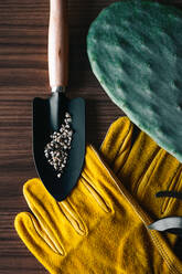 Top view of colorful gardening gloves on wooden table with small shovel of tiny gravel in daylight - ADSF26507