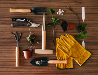 Flat lay of small home gardening instruments with gloves and flowerpot with plants on wooden table - ADSF26508