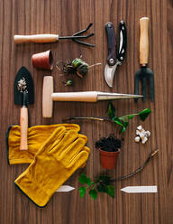 Flat lay of small home gardening instruments with gloves and flowerpot with plants on wooden table - ADSF26510