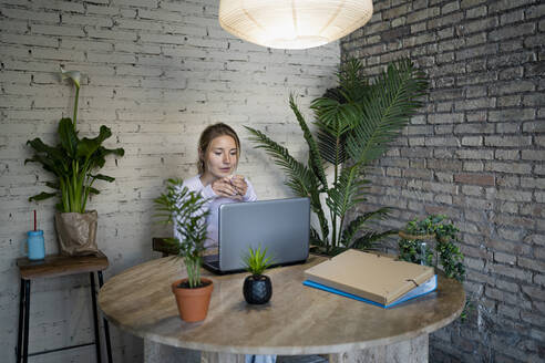 Female freelancer using laptop while having coffee at home office - RCPF01174