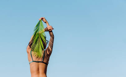 Back view of young female in brassiere with green palm tree foliage behind head looking away on blue background - ADSF26537