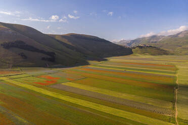 Luftaufnahme des Piano Grande auf der Hochebene von Castelluccio di Norcia im Sommer, Sibillini-Gebirge, Apennin, Umbrien, Italien, Europa - RHPLF20338