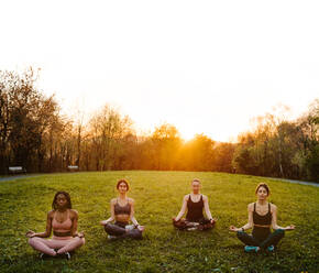 Company of diverse serene females sitting in Lotus pose in park and meditating together with closed eyes while doing yoga at sunset in summer - ADSF26673