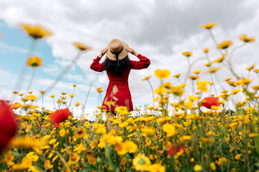 Back view anonymous trendy female in red sundress standing on blossoming field with yellow and red flowers and touching hat on warm summer day - ADSF26691