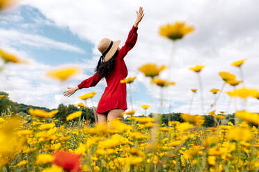 Back view anonymous trendy female in red sundress standing on blossoming field with yellow and red flowers with outstretched arms on warm summer day - ADSF26692