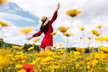Rückenansicht anonyme trendige Frau in rotem Sommerkleid stehend auf blühendem Feld mit gelben und roten Blumen mit ausgestreckten Armen an warmem Sommertag - ADSF26692