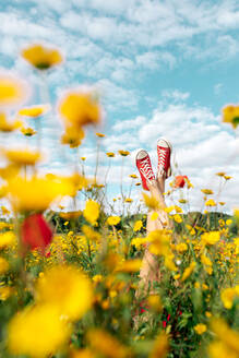 Crop unrecognizable female in bright footwear lying with crossed legs among blossoming daisies under cloudy blue sky in countryside - ADSF26695