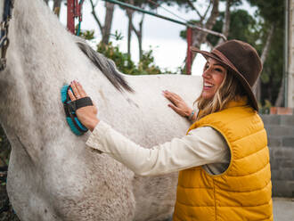 Side view of stylish young female equestrian with long blond hair in casual clothes and hat brushing graceful gray horse with groomer in ranch - ADSF26892