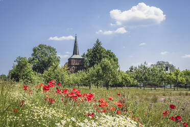 Blühende Blumen auf einer Sommerwiese mit der Dorfkirche Monchow im Hintergrund - KEBF02022