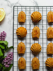 Draufsicht auf leckere Madeleines auf einem Kühlregal neben Lavendelblüten auf einer Marmorfläche - ADSF27052