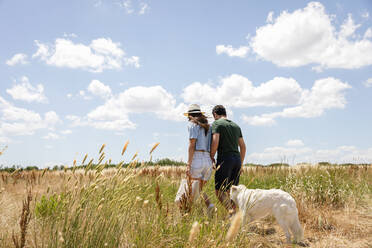 Couple walking with dog at meadow on sunny day - EIF01642
