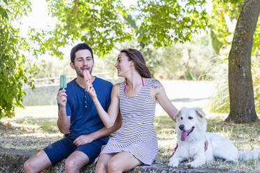 Girlfriend feeding ice cream to boyfriend while sitting by dog - EIF01667