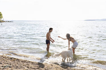 Couple playing with dog in Lake Trasimeno on sunny day - EIF01719