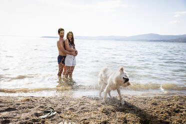 Couple looking at dog shaking off water - EIF01721