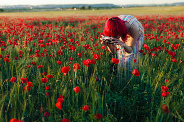 Rothaarige Frau fotografiert Mohnblumen durch die Kamera bei Sonnenuntergang - MRRF01261