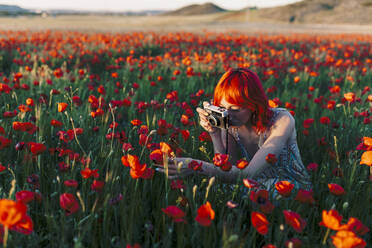 Rothaarige Frau, die bei Sonnenuntergang Mohnblumen durch die Kamera fotografiert - MRRF01268