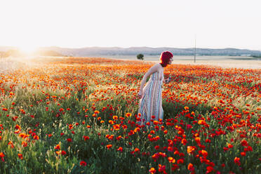 Woman walking amidst poppy flowers on field at sunset - MRRF01278