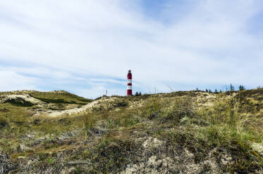 Küstenlandschaft mit Amrumer Leuchtturm im Hintergrund - THAF02977