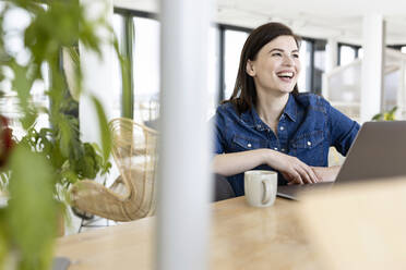 Cheerful businesswoman sitting with laptop in office - PESF02969