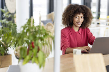 Afro businesswoman smiling while sitting with laptop at office - PESF02975