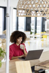 Female professional drinking coffee while using laptop at office - PESF02977