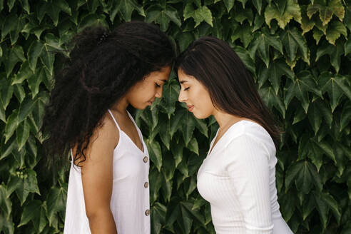 Multi-ethnic female friends leaning on each other by plants - TCEF01995