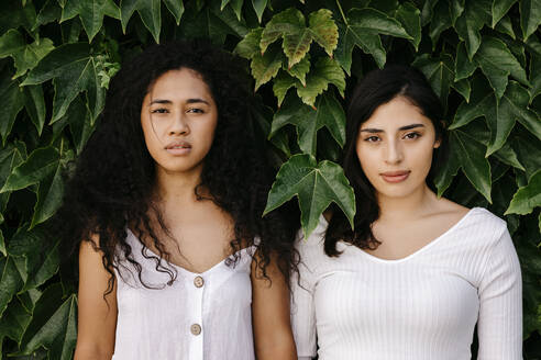 Multi-ethnic female friends near plants - TCEF02000