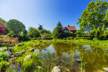 Pond in summertime park with single house and traditional windmill in background - THAF02987