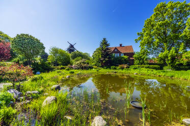 Teich im sommerlichen Park mit Einzelhaus und traditioneller Windmühle im Hintergrund - THAF02987