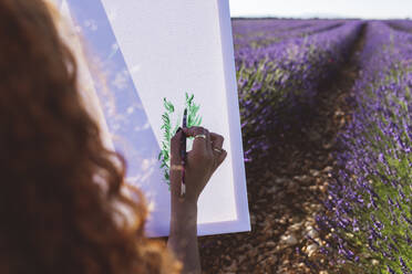 Junge Frau malt auf Leinwand in einem Lavendelfeld - JCCMF03177
