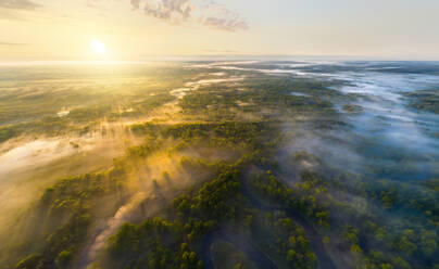 Aerial view of Bryansk forest on a foggy morning, Russia. - AAEF09416