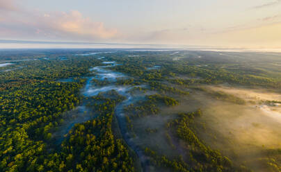 Luftaufnahme des Brjansker Waldes an einem nebligen Morgen, Russland. - AAEF09417