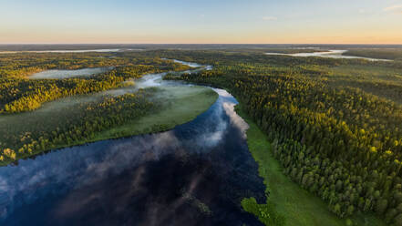 Luftaufnahme des Vodlozero-Nationalparks, Republik Karelien, Russland. - AAEF09460