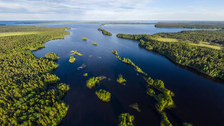 Luftaufnahme des Vodlozero-Nationalparks, Republik Karelien, Russland. - AAEF09466