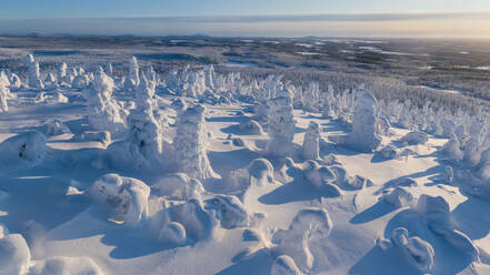 Aerial view of Lapland, Finland. - AAEF09500