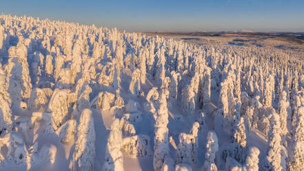 Luftbildaufnahme von Lappland, Finnland. - AAEF09504