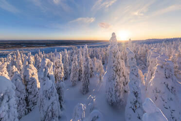 Luftbildaufnahme von Lappland, Finnland. - AAEF09507