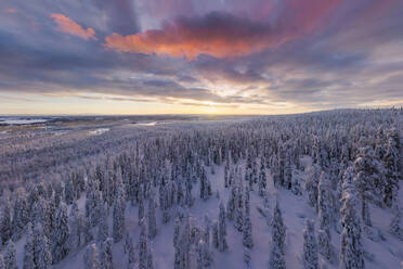 Aerial view of Lapland, Finland. - AAEF09508