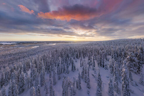Luftbildaufnahme von Lappland, Finnland. - AAEF09508