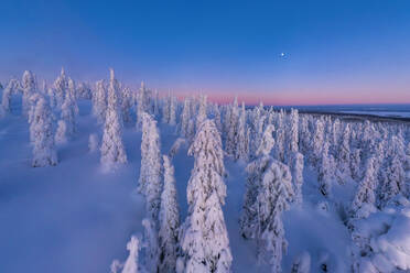 Luftbildaufnahme von Lappland, Finnland. - AAEF09509