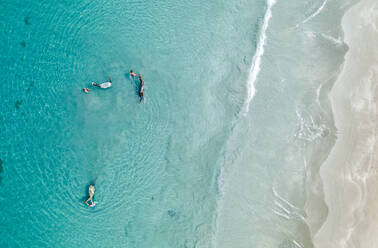 Luftaufnahme von Menschen schwimmen und spielen mit Pferden in der Karibik vor der Küste von Kolumbien - AAEF09541