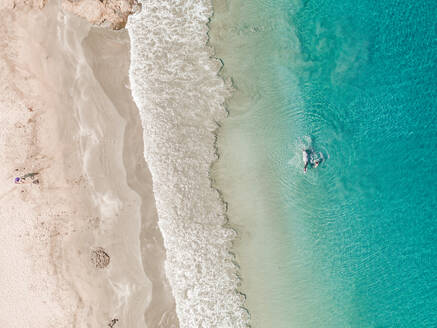 Luftaufnahme von Person Schwimmen mit Pferd in den blauen Ozean Wellen, Tierra Bomba, Kolumbien - AAEF09542